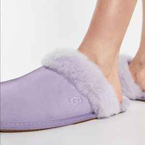 UGG Scuffette Slippers